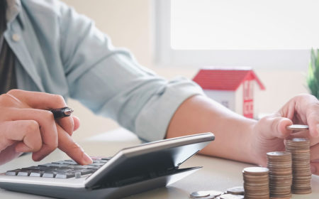 Learn how to select and apply credit cards for no credit history with limited options