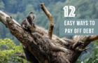12 Easy Ways to Pay Off Debt