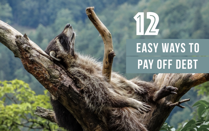 12 Easy Ways to Pay Off Debt