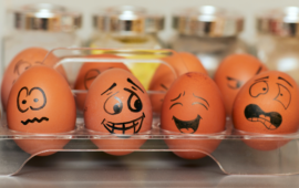 How it Feels to Pay Off Debt