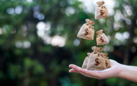 Federal Direct Loans