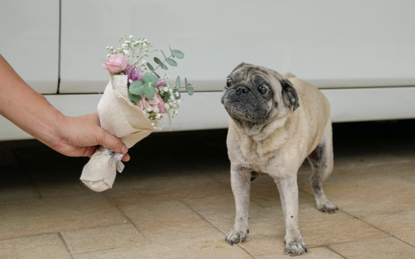 The Real Cost of Being a Good Bridesmaid