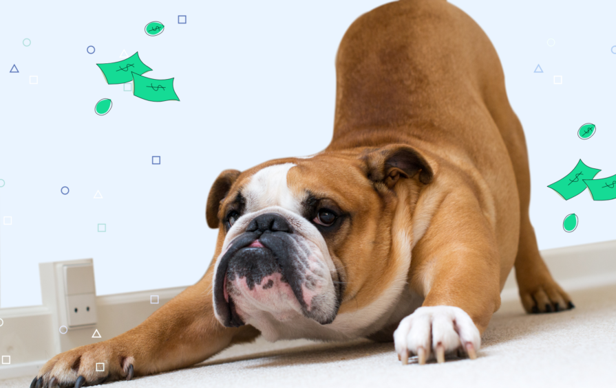 What are Flex Loans and How Do They Work? Credello