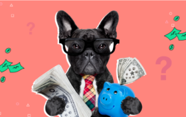 How can you establish credit for the first time?