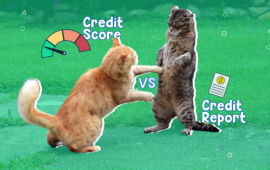 Key differences between credit score and credit report