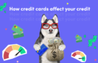 How Credit Cards Impact Your Credit