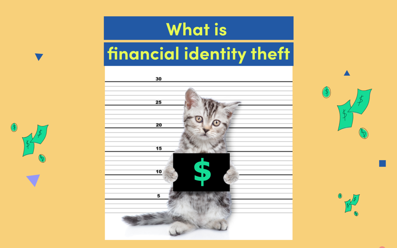 What is Financial Identity Theft? Credello