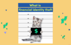 What is financial identity theft and how to avoid it?