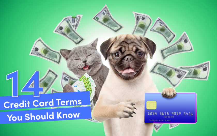 14 Credit Card Terms You Need To Know