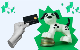 Best Credit Cards for Pets