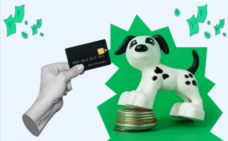 Best Credit Cards for Pets